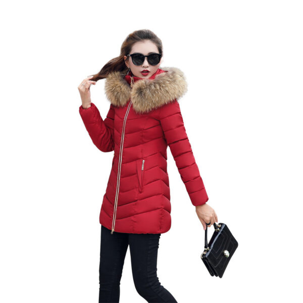 Mid-length Slim Cotton Jacket Large Fur Collar Down Jacket - Image 2