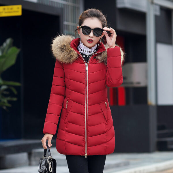 Mid-length Slim Cotton Jacket Large Fur Collar Down Jacket - Image 5